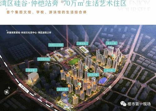 惠州楼盘爆料事件视频最新,揭露背后惊人真相！